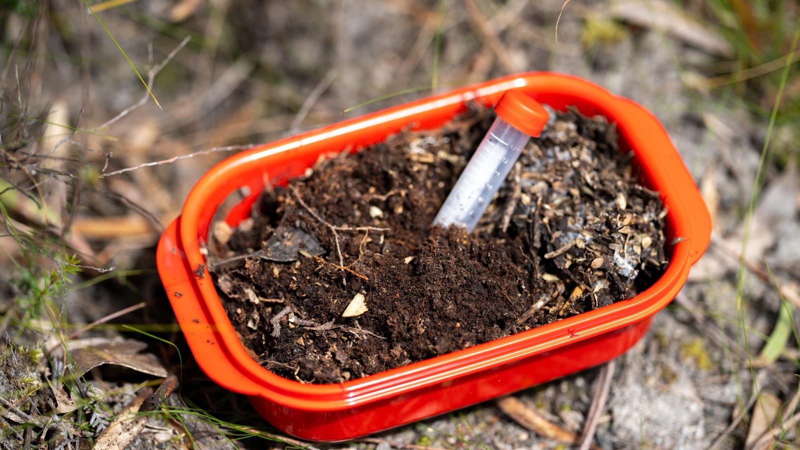 Close-up of a plastic test tube placed in a red bowl filled with dark brown soil in a garden.
