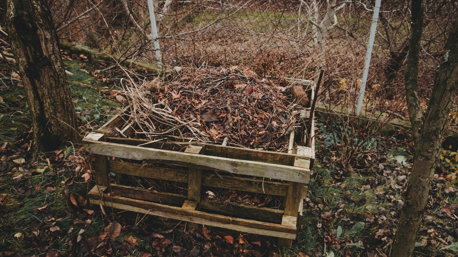 The palette composter is filled with a mix of dry leaves and branches, creating a layered, rustic look within the wooden frame.
