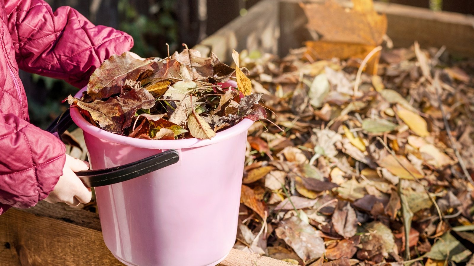 Do Fall Leaves Make Good Compost?