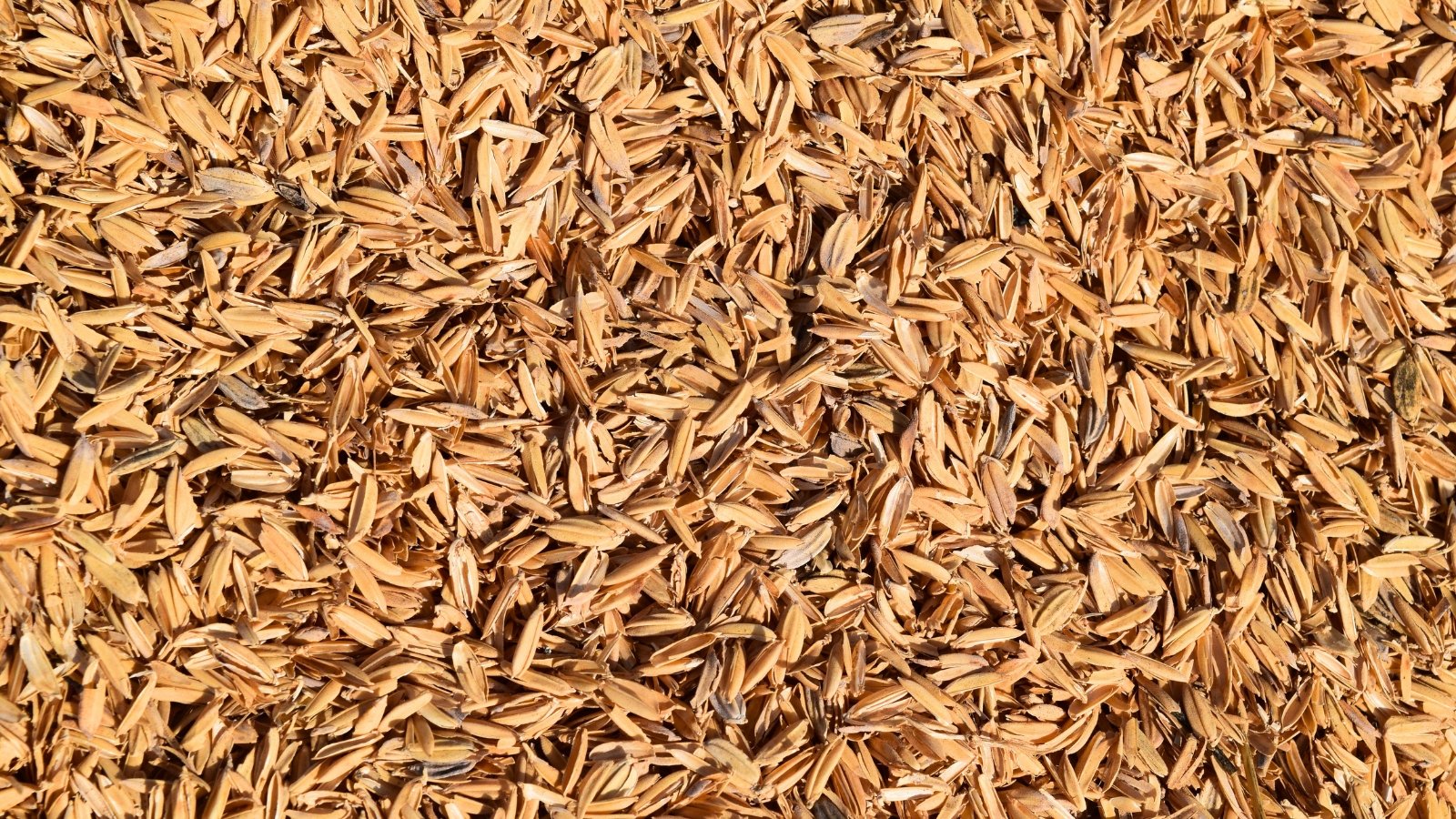 How and Why to Use Rice Hulls throughout the Yard