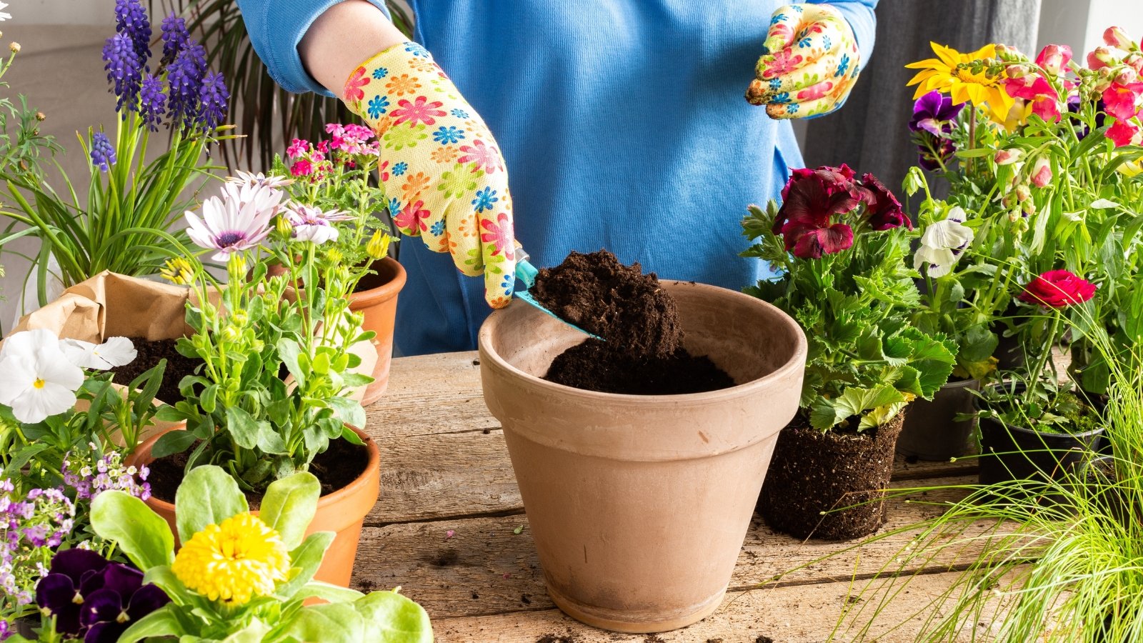 Recommendations on the way to Plant The Wonderful Fall Container Yard