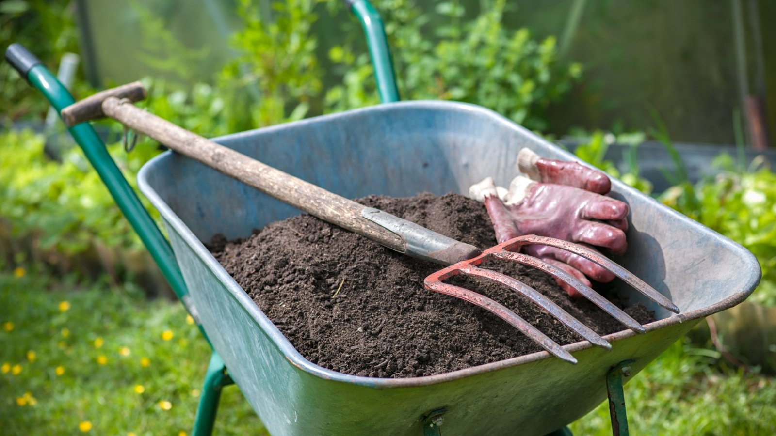 9 Easy Strategies to Improve Your Soil