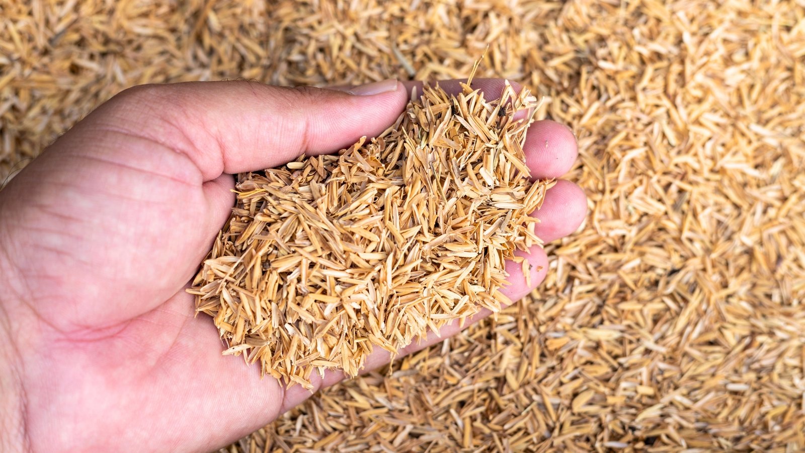 How and Why to Use Rice Hulls throughout the Yard