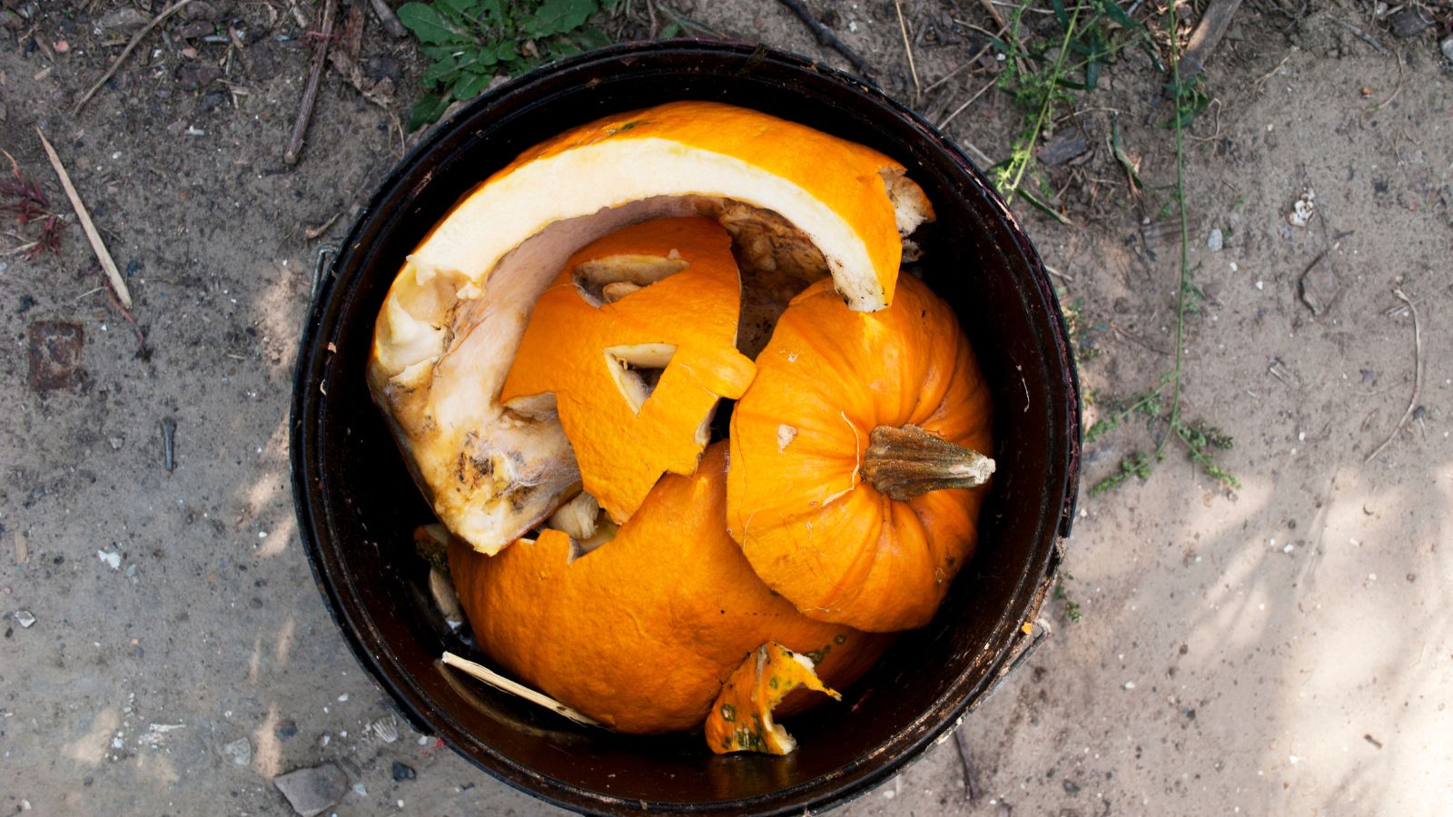 The fitting strategy to Compost Your Halloween Pumpkins